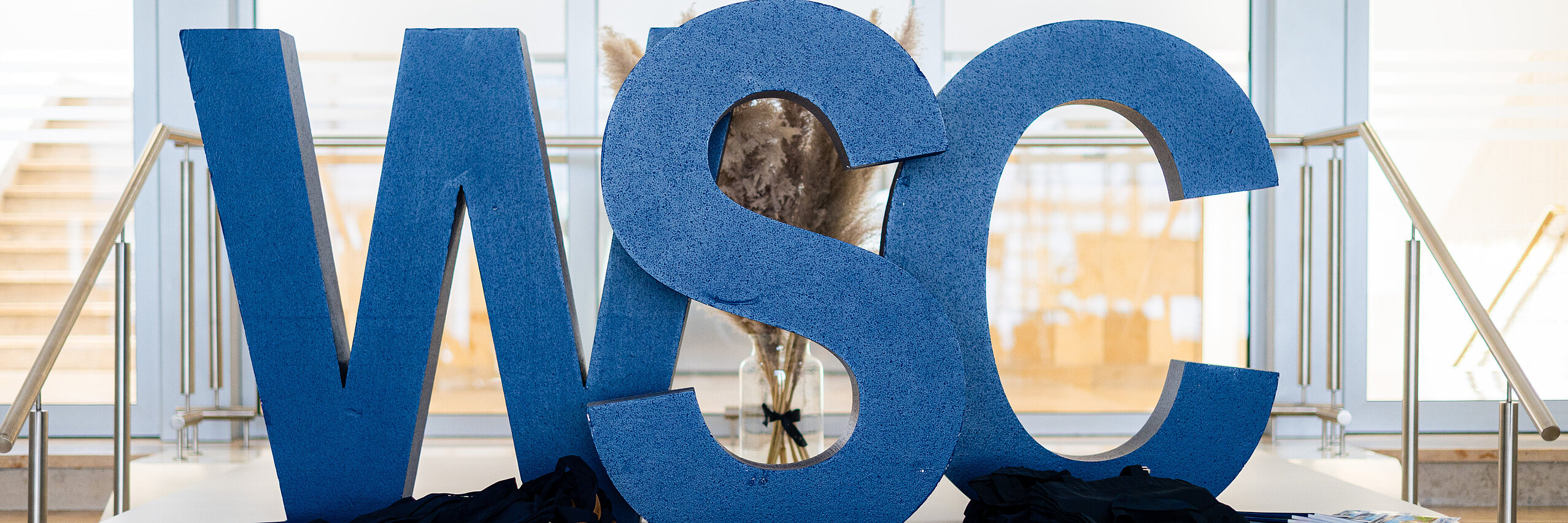 Start-up consulting The three blue letters "WSC"